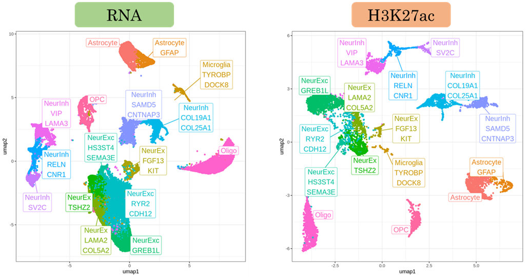 Droplet Paired-Tag Plot 1