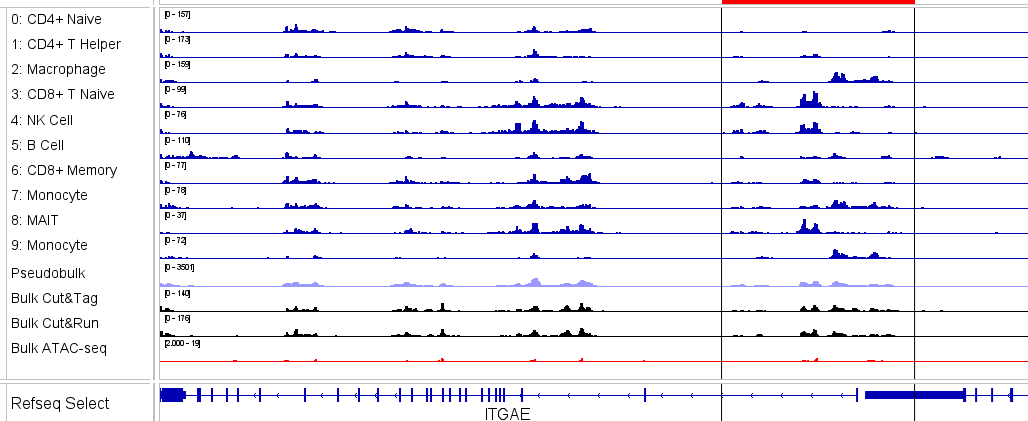 IGV of single-cell Paired-Tag PBMC data