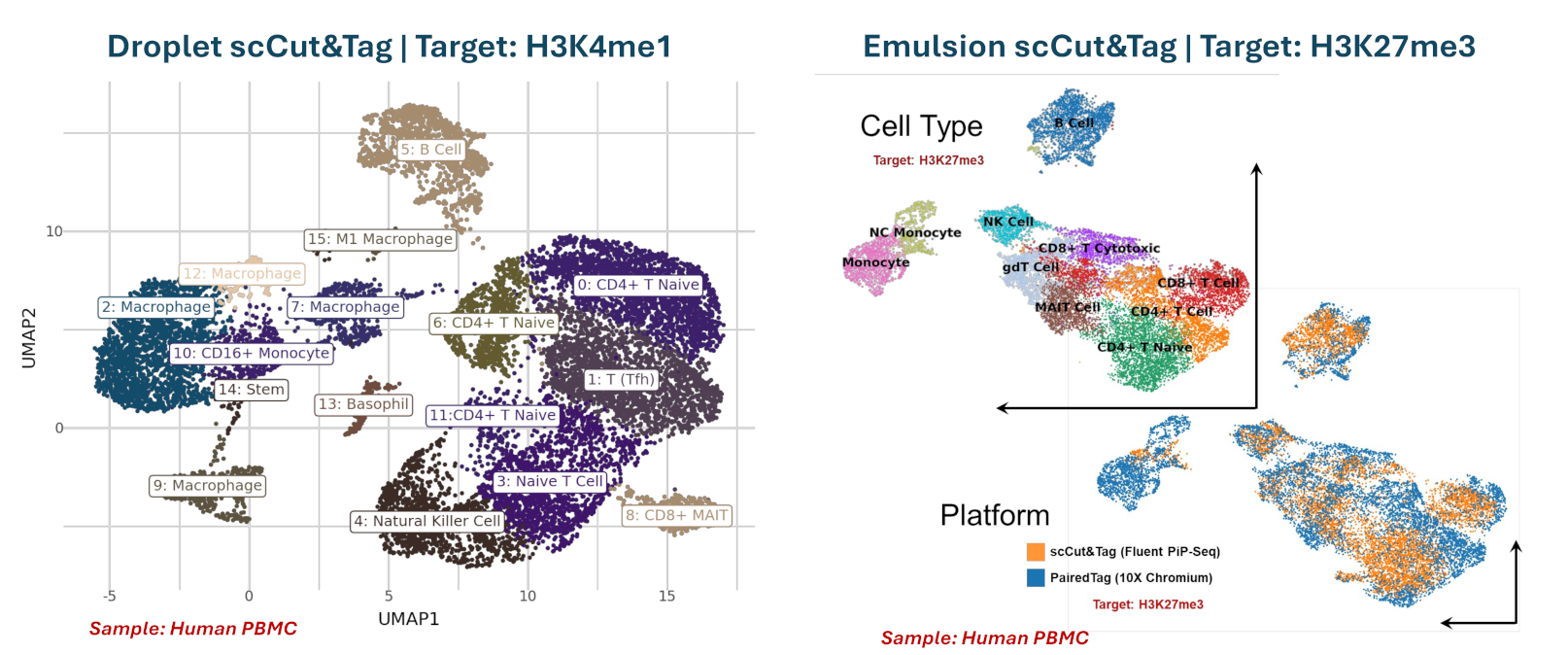 Single-Cell CUT&Tag Plot 1