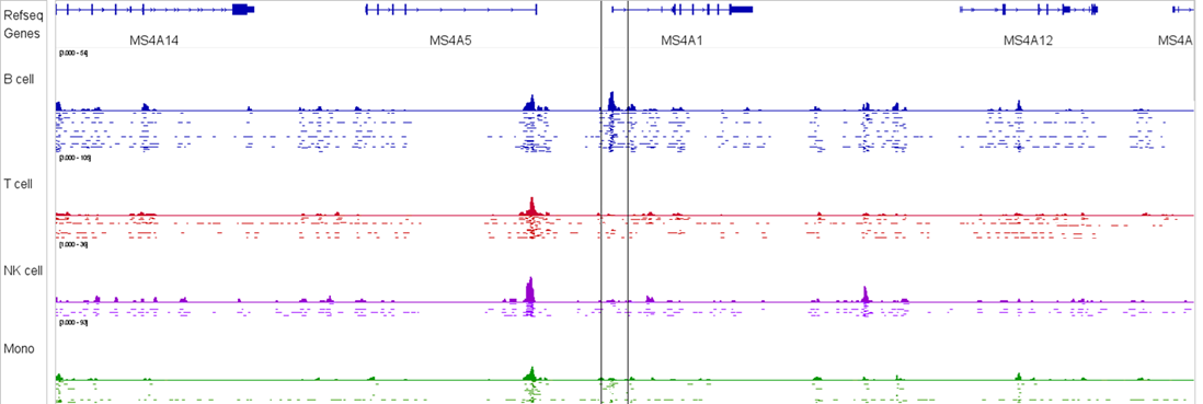 IGV of single-cell Paired-Tag PBMC data