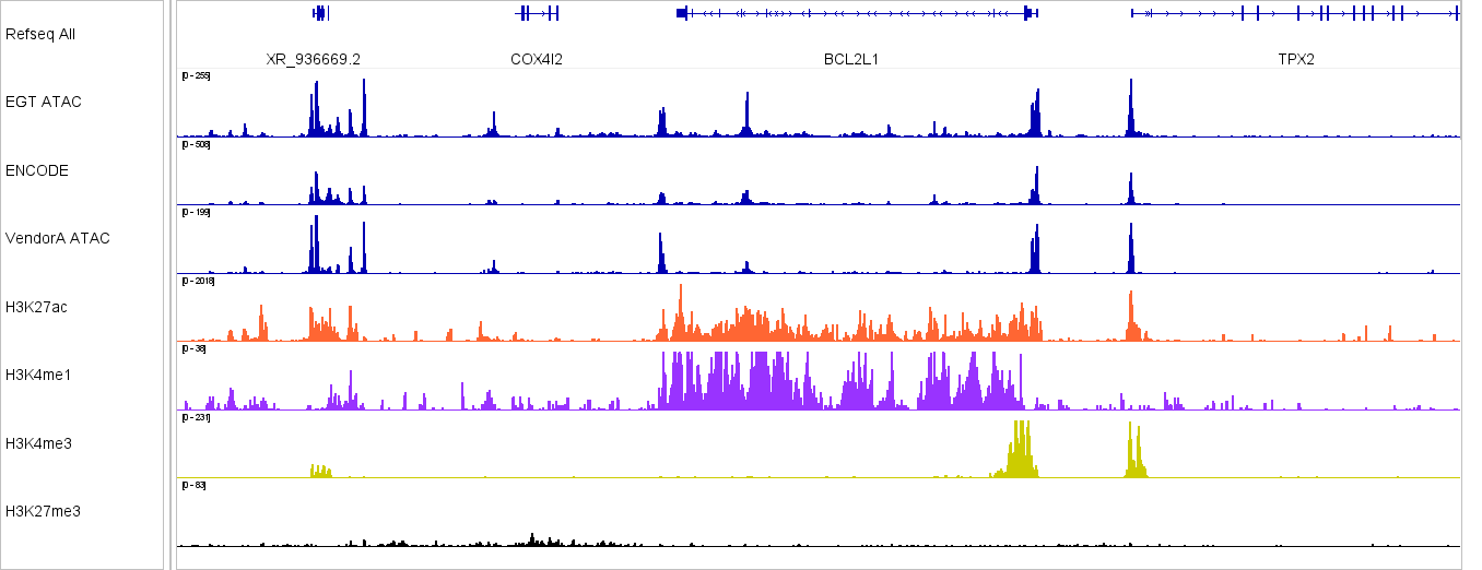 A wide IGV view of K562 profiling - ATAC, H3K27ac, H3K4me1, H3K4me3
