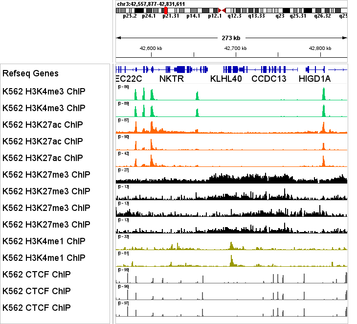 ChIP-seq