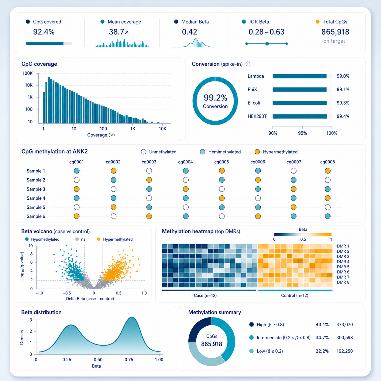 WGBS QC panels: CpG coverage distribution and mean, beta distribution with IQR, total CpG count, spike-in conversion efficiency, methylation at a known reference gene, beta volcano plot, top DMR heatmap, and CpG methylation summary by level