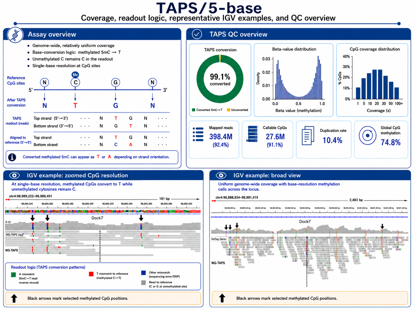 TAPS chemistry converting 5mC to a readable base without bisulfite treatment, with coverage QC metrics and IGV methylation tracks at single-base resolution