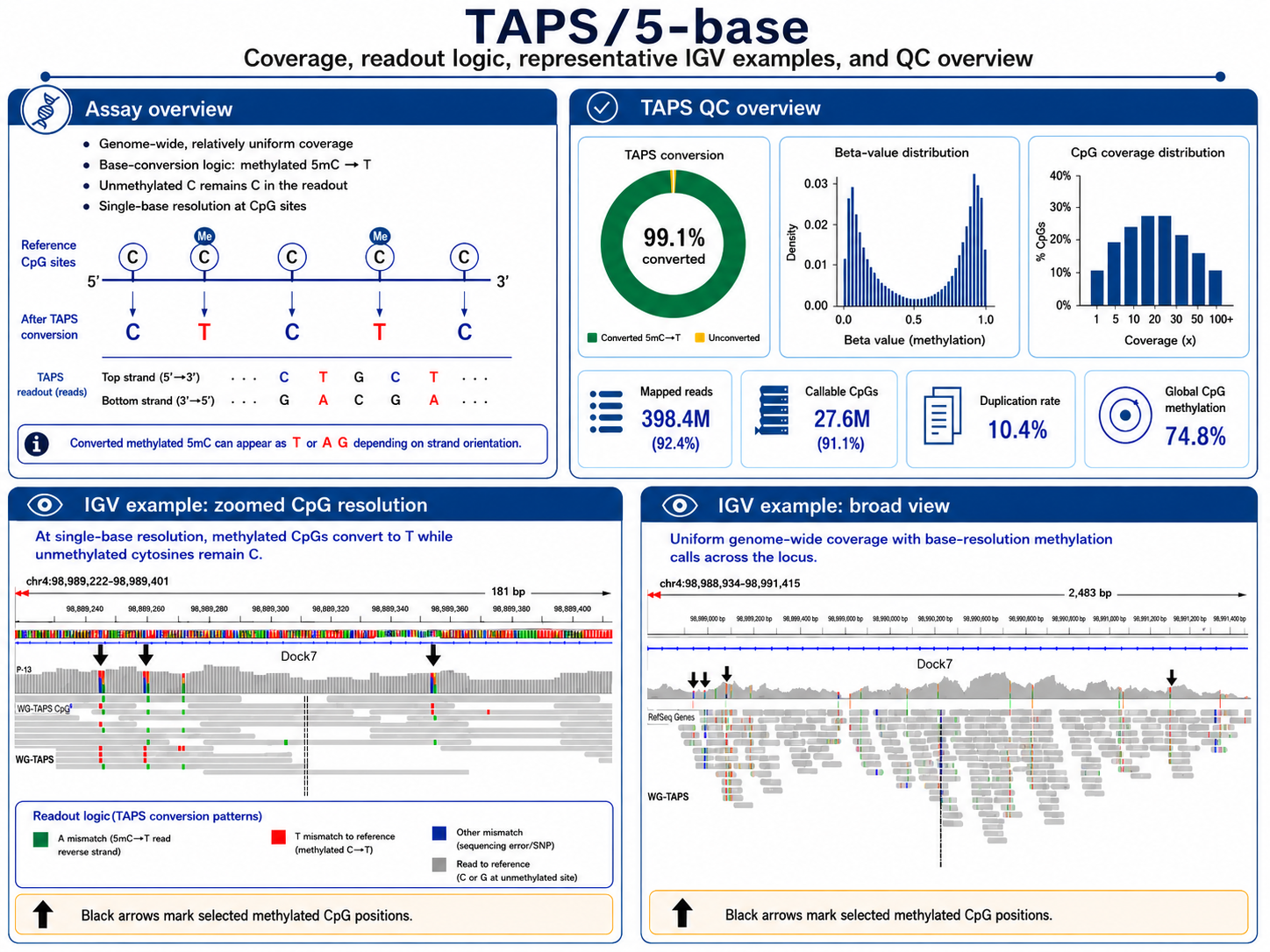 TAPS chemistry converting 5mC to a readable base without bisulfite treatment, with coverage QC metrics and IGV methylation tracks at single-base resolution