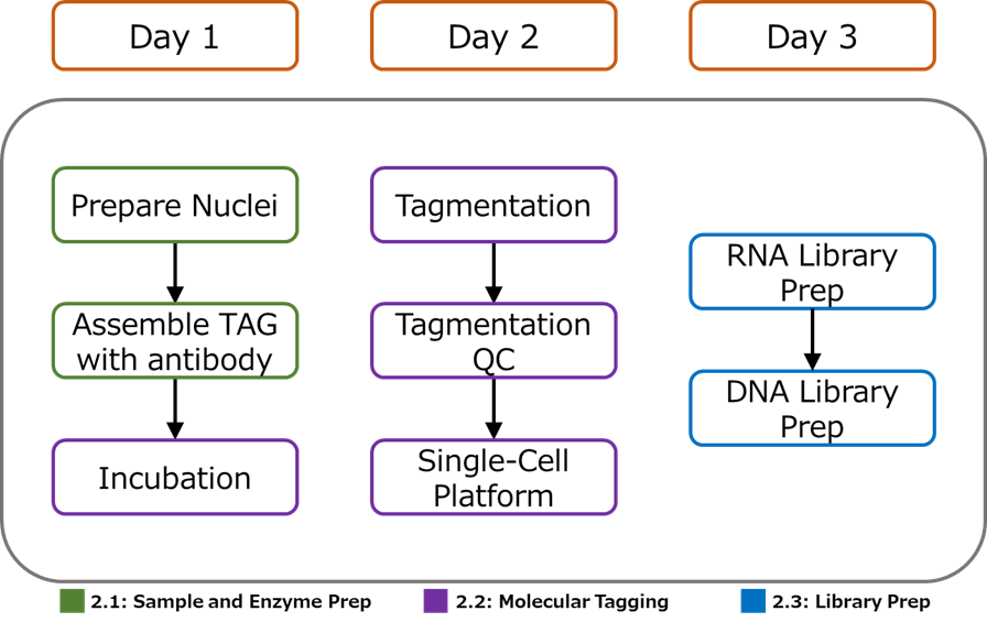 Schematic workflow diagram of the Paired-Tag workflow