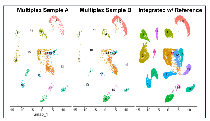 Research Data
