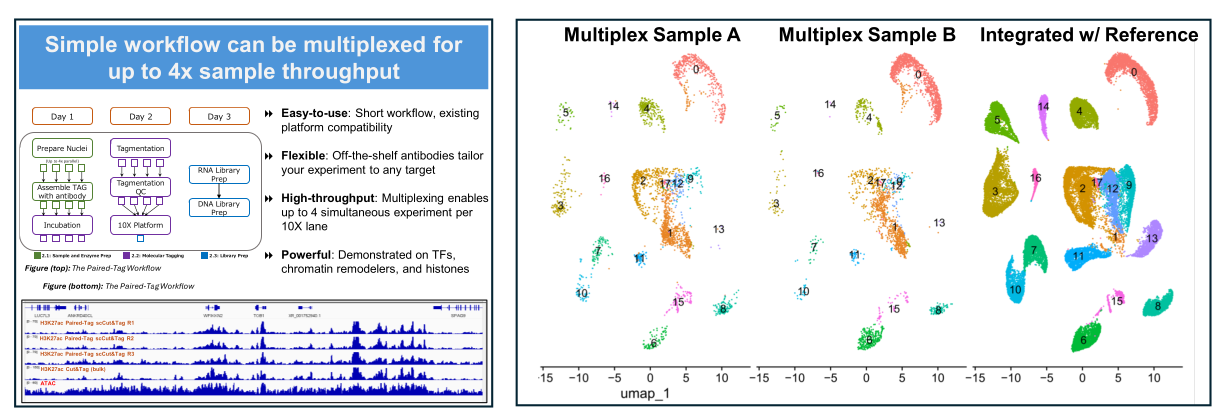 Multiplex Paired-Tag Data