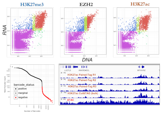 Recovery and average Paired-Tag UMI for Brain and PBMC data