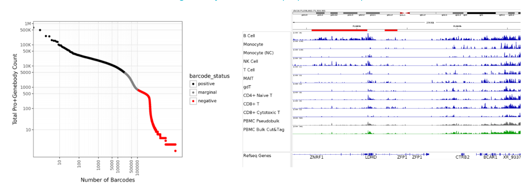 Scientists evaluating and approving single-cell Paired-Tag data