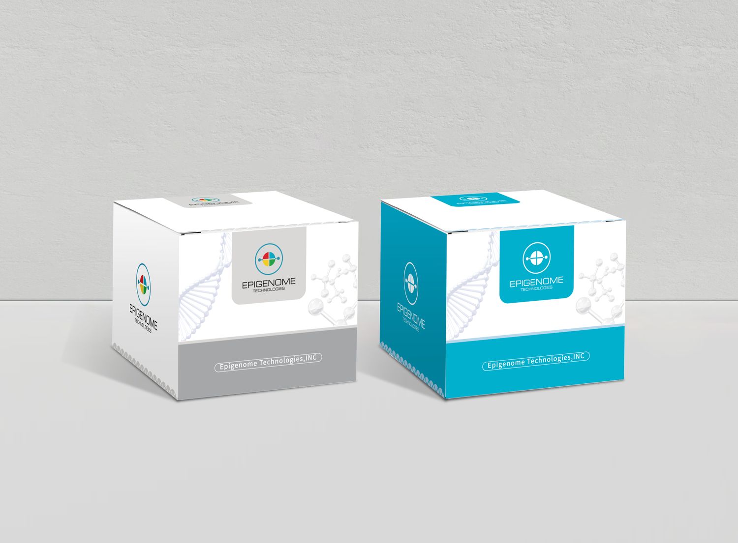 ATAC-seq Kit, 8 Reactions kit packaging