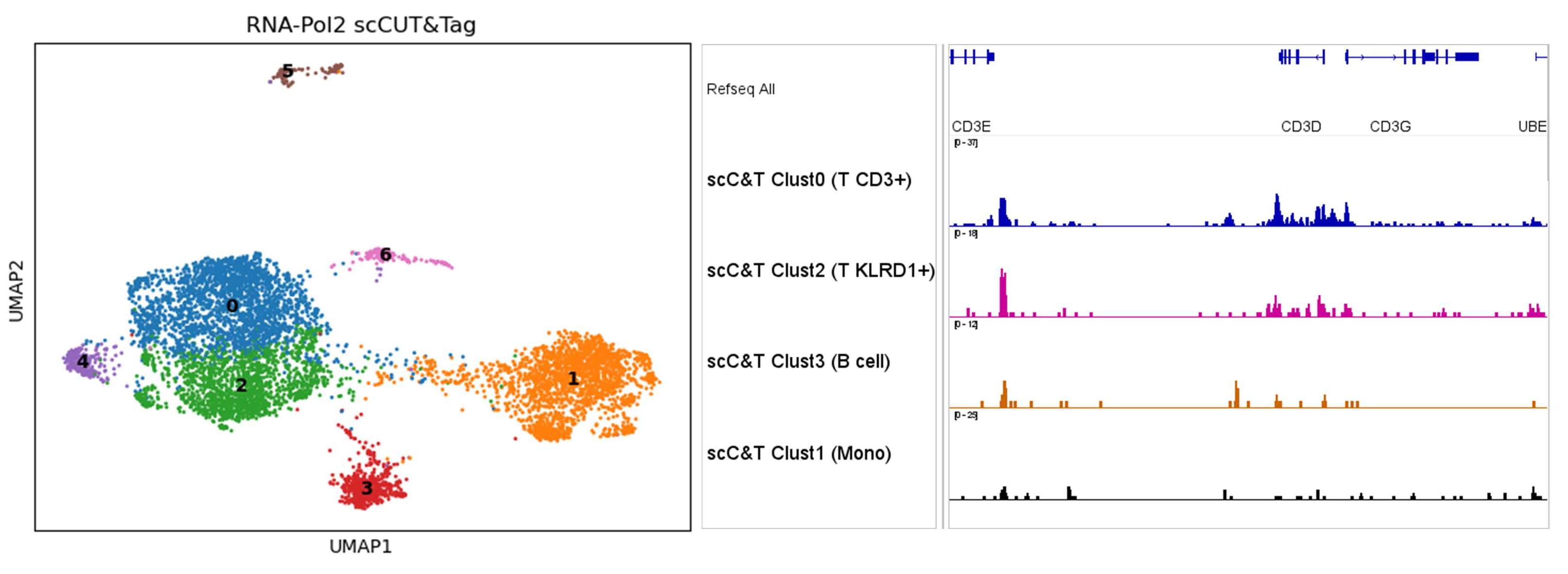 Single-cell TF occupancy by cluster with pseudo-bulk track context