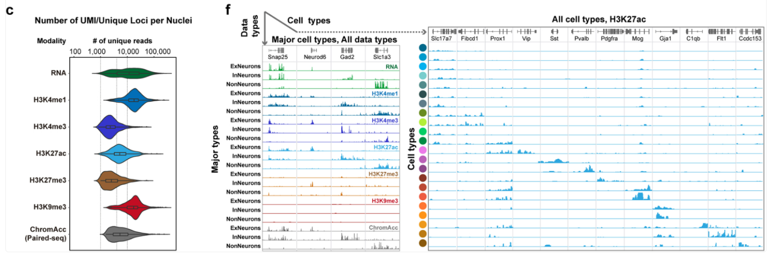 Multi-panel figure displaying UMI/cell plots and IGV tracks
