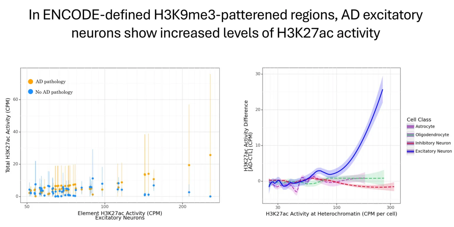 Two-panel figure showing aberrant H3K27ac activity in excitatory neruons in AD