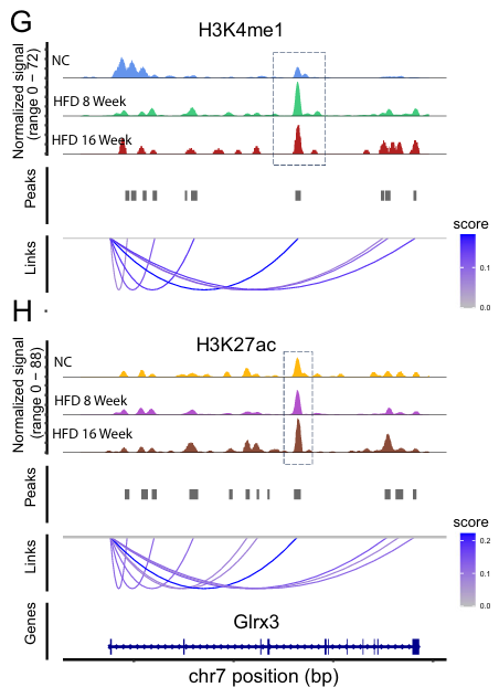 IGV tracks showing peak-TSS links