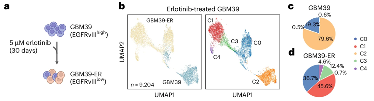 Multi-panel figure showing single-cell UMAPs built from histone marks, and corresponding IGV tracks