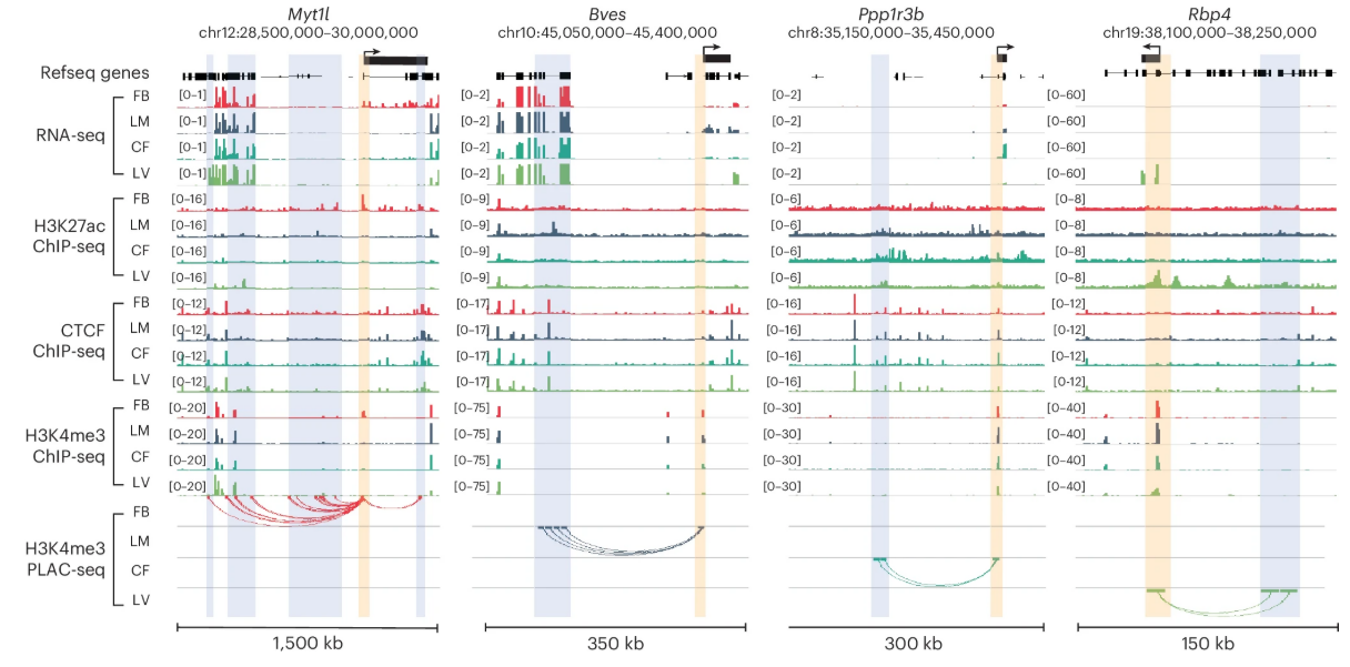 Four-panel figure showing IGV tracks of multiple histone marks and CTCF, with PLAQ-seq at 4 gene loci