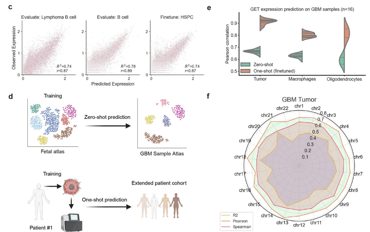 Multi-panel figure showing model predictions with no training and one-shot training