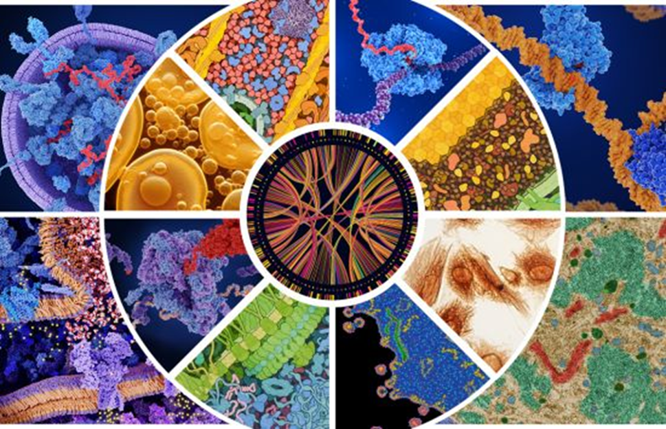 Multi-panel abstract "biology" and "epigenetic" images