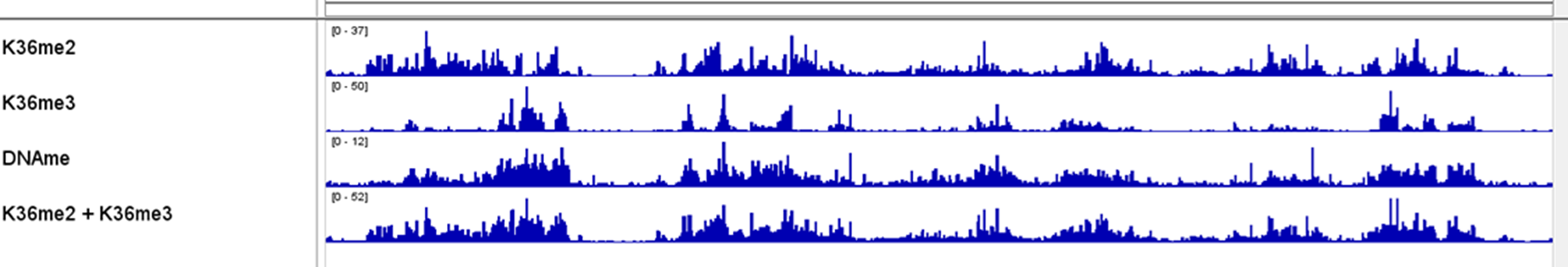 IGV tracks showing DNAme correlation to K36me states