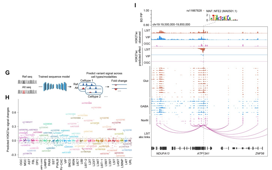 Multi-panel image displaying variant effect prediction results