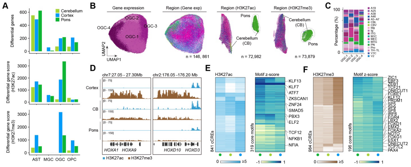 Multi-panel image displaying that tissue-level separation - not achievable based on RNA-seq alone - can be achieved with epigenetic modifications