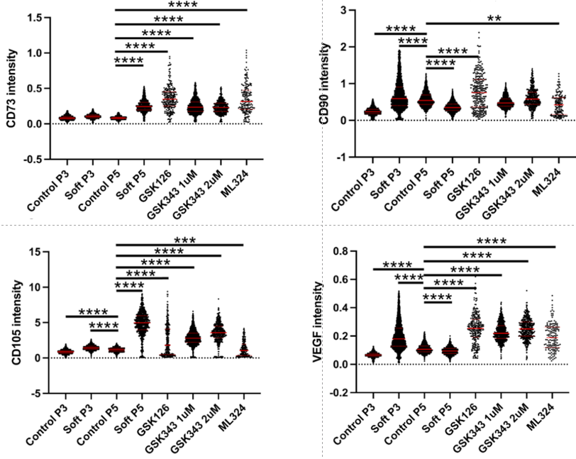 Beeswarm plots of surface markers in EZH2-treated cell lines
