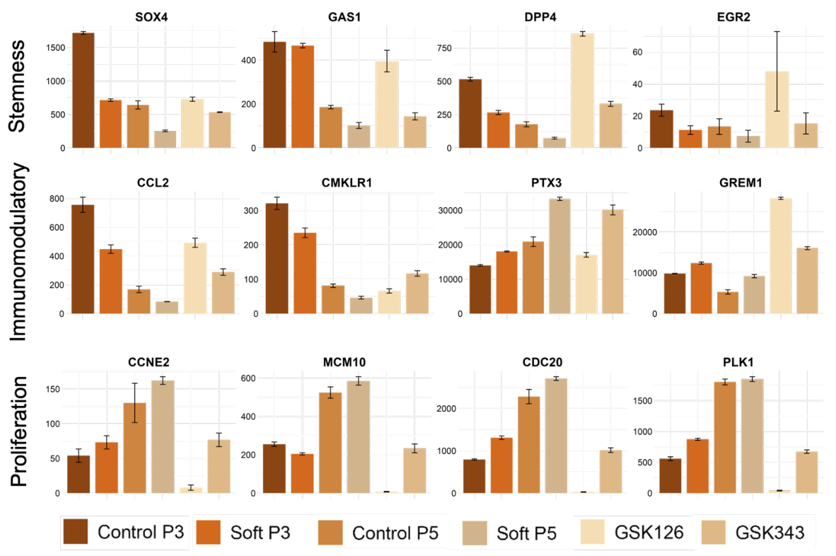 Barplots of major genes in treated and untreated MSCs
