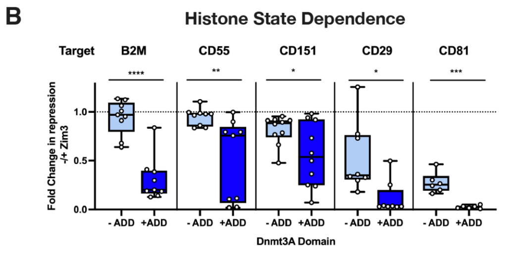 Boxplot of inadvertantly repressed genes