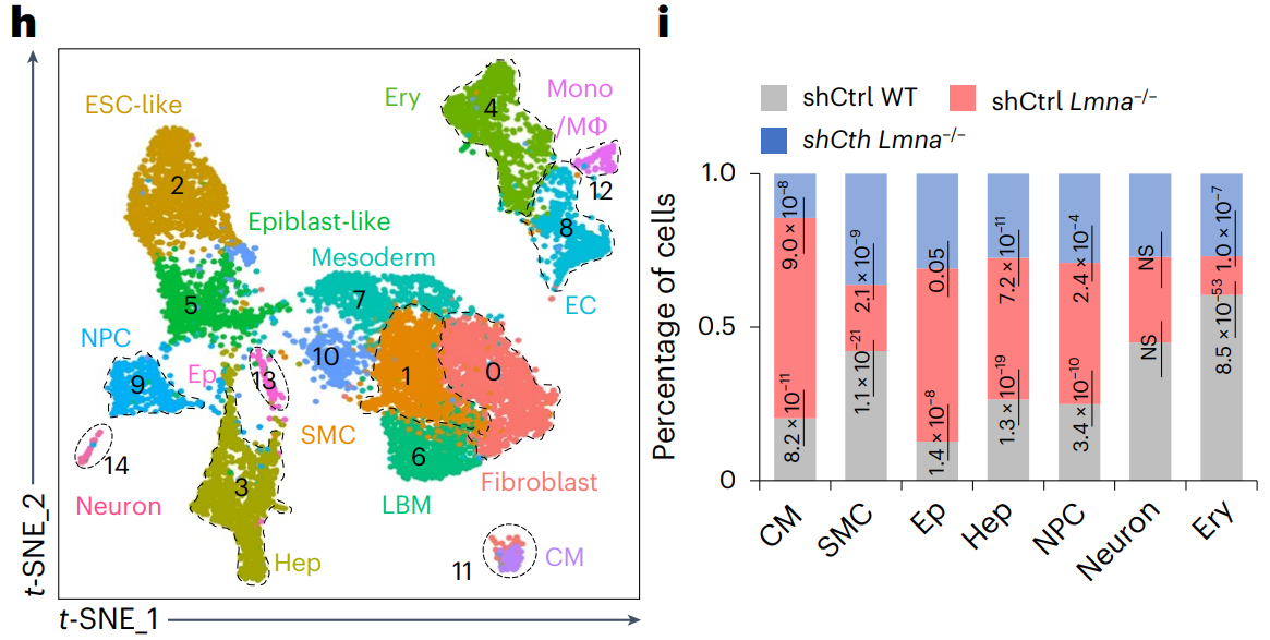 Single-cell embedding and quantification of differentiated types by experiment