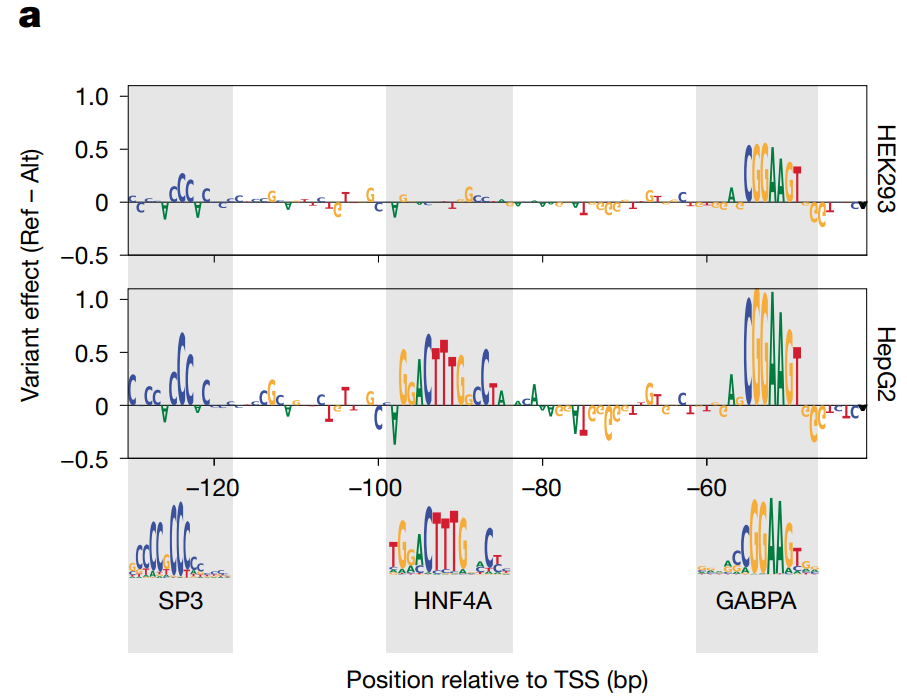Sequence logo plot of nucleotide importance based on in-silico mutation