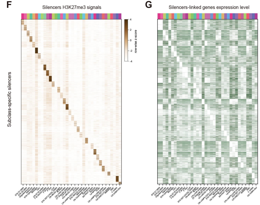 Heatmap of gene silencers