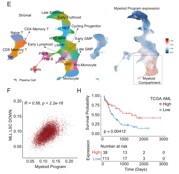 Multi-panel figure showing expression of P-15 myeloid programs in developing blood cells, and impact of program expression on survival in TCGA