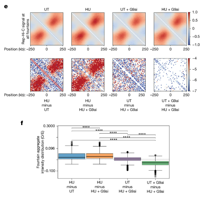 Two-panel image showing chromatin contact heatmaps and barplots of aggregates across treatment groups